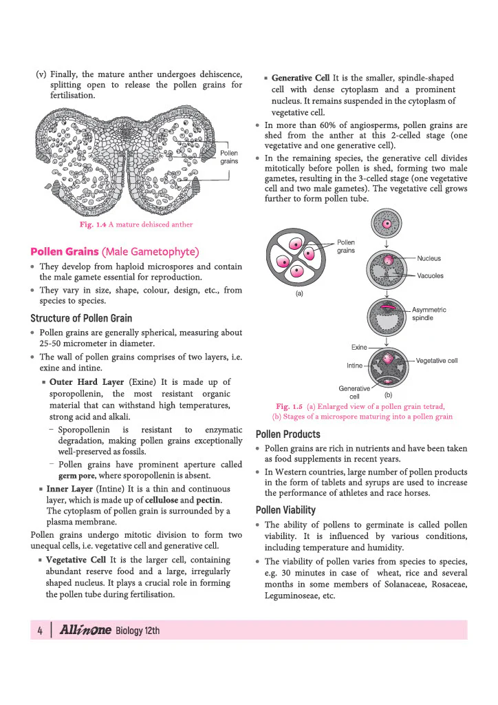 All in One Biology Class 12 for CBSE Exam 2026-27 | NCERT Based Complete Theory, Practice Exercises, CBQs, A-R, Sample Papers & Mind Maps | Revised Edition as per Latest Syllabus - Image 10