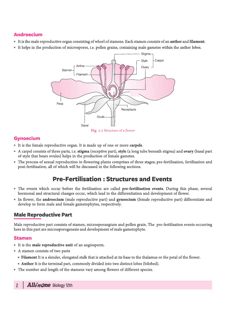All in One Biology Class 12 for CBSE Exam 2026-27 | NCERT Based Complete Theory, Practice Exercises, CBQs, A-R, Sample Papers & Mind Maps | Revised Edition as per Latest Syllabus - Image 8