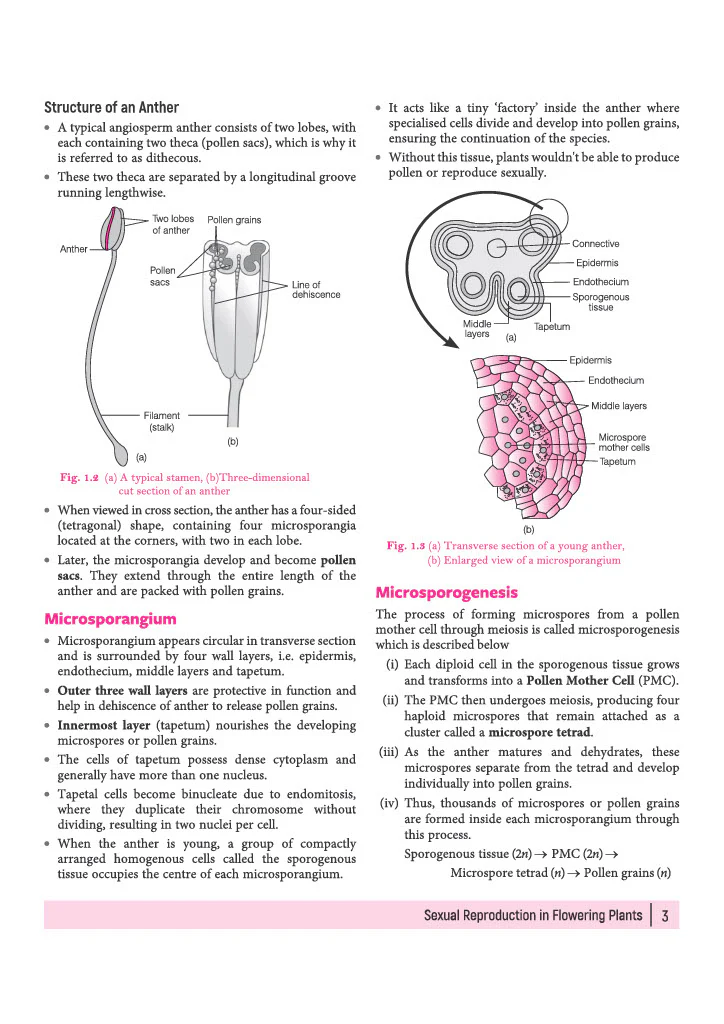 All in One Biology Class 12 for CBSE Exam 2026-27 | NCERT Based Complete Theory, Practice Exercises, CBQs, A-R, Sample Papers & Mind Maps | Revised Edition as per Latest Syllabus - Image 9