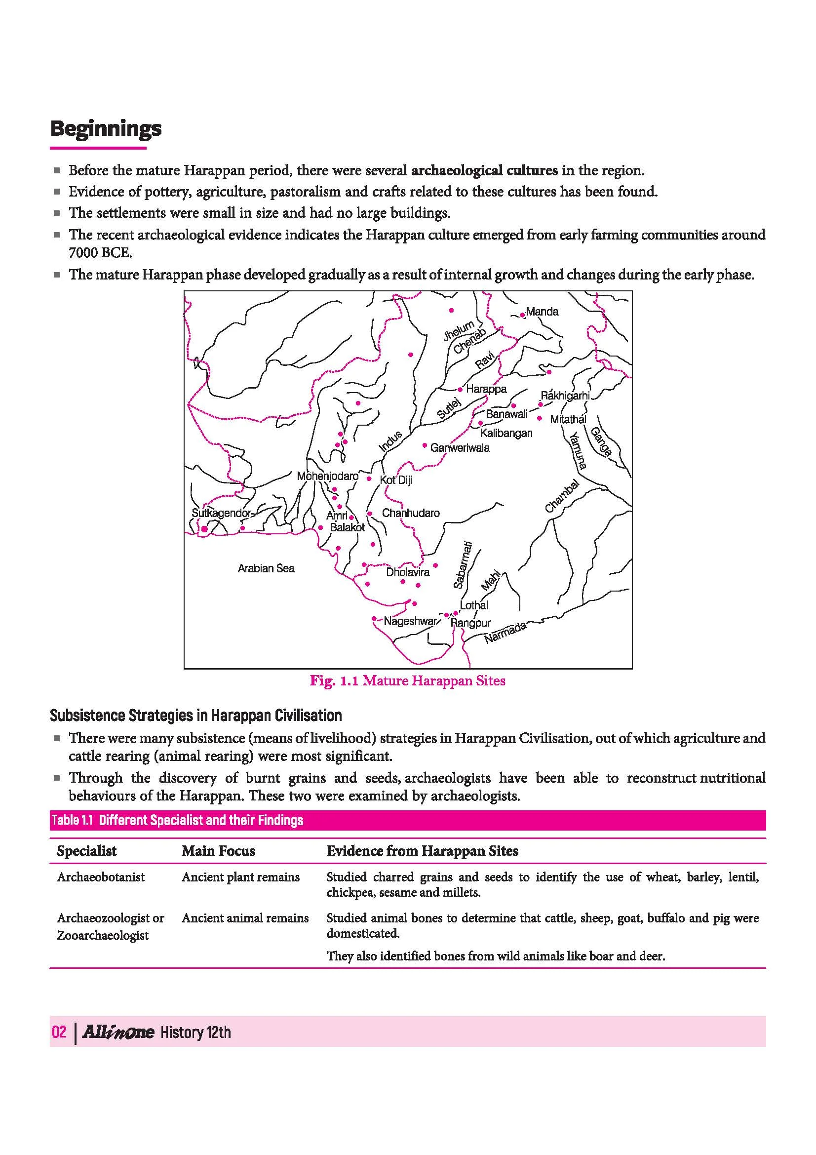 All in One History Class 12 for CBSE Exam 2026-27 | NCERT Based Complete Theory, Practice Exercises, CBQs, A-R, Sample Papers & Mind Maps | Revised Edition as per Latest Syllabus - Image 8