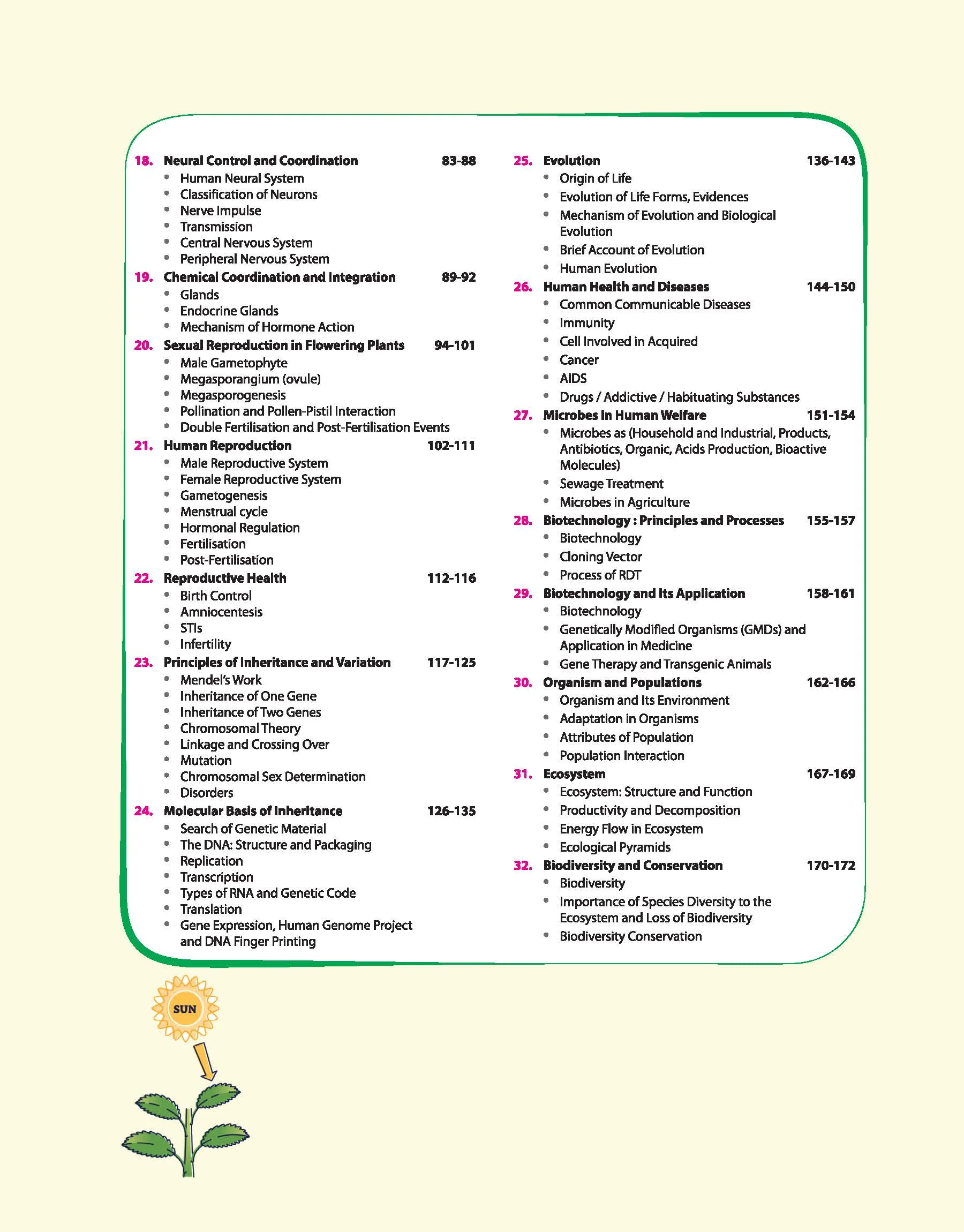 Biology Concept Map Toolkit | Visual Concept Maps for Faster Learning & Retention | Useful for Board Exams, NEET, JEE & Other Competitions - Image 3