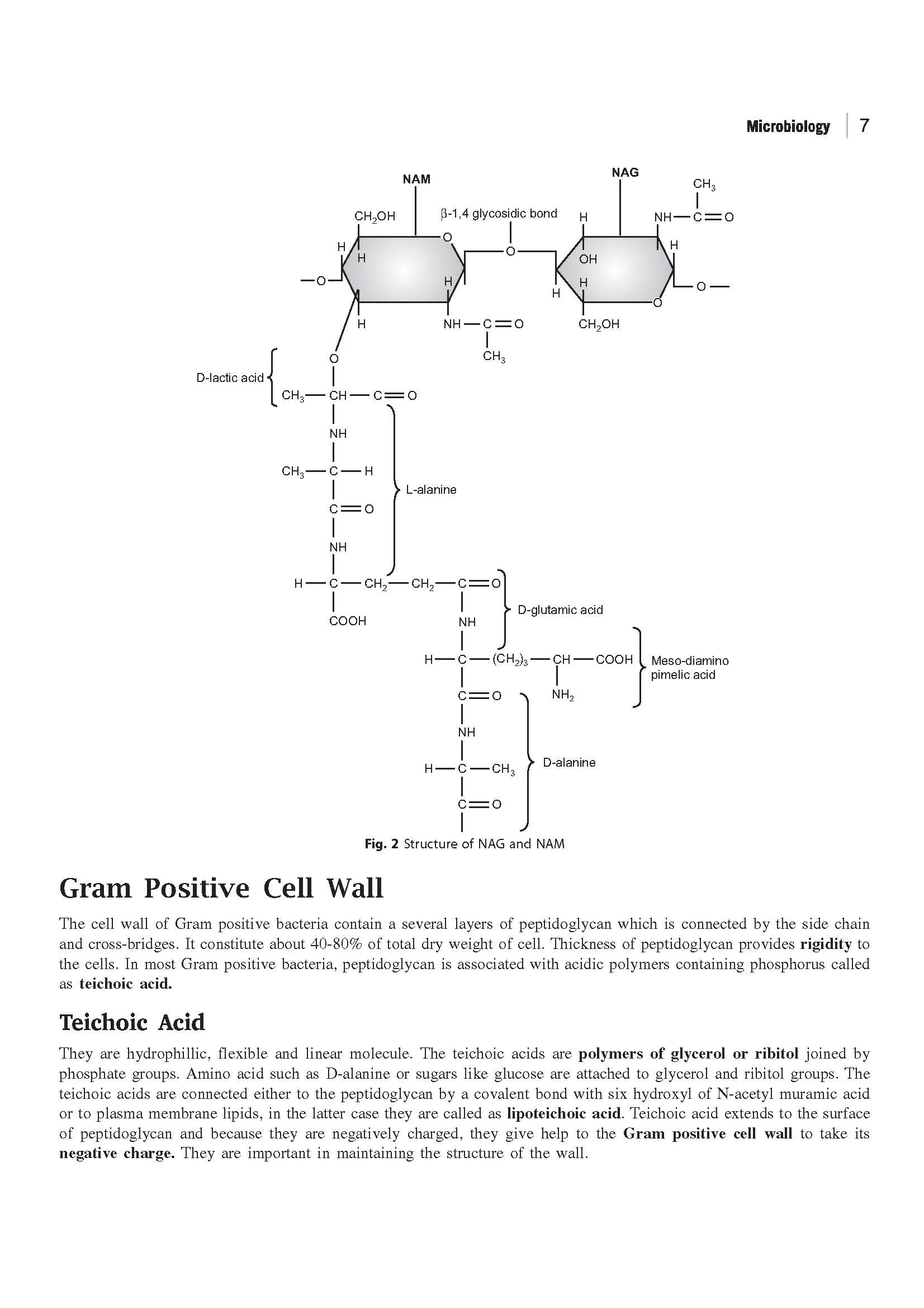 GATE Tutor 2027 Biotechnology | Solved Papers 2023ā2026 & 3 Mock Tests | Complete ECE Preparation Book | Pfo. BM Agarwal, Akansha Singhal, Vidhika Goel - Image 8