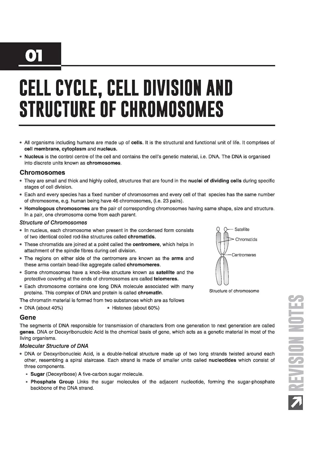 ICSE Biology Class 10 Exam | Quick Theory, Exam Pattern Questions & Sample Papers | As per Latest ICSE Syllabus | Que Bee 2nd Edition - Image 5
