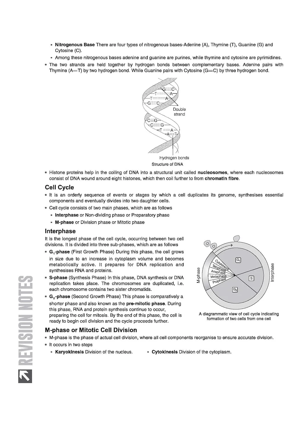 ICSE Biology Class 10 Exam | Quick Theory, Exam Pattern Questions & Sample Papers | As per Latest ICSE Syllabus | Que Bee 2nd Edition - Image 7