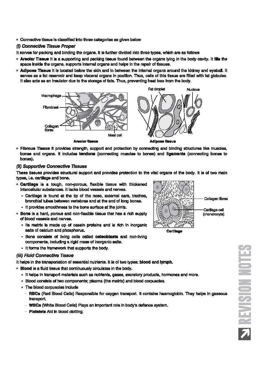 ICSE Biology Class 9 Exam Book | Quick Theory, Exam Pattern Questions & Sample Papers | As per Latest ICSE Syllabus | Que Bee 2nd Edition - Image 7
