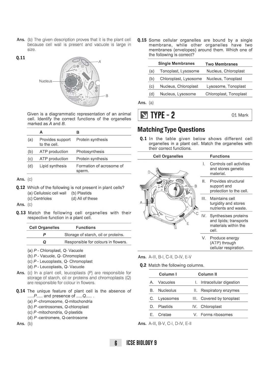 ICSE Biology Class 9 Exam Book | Quick Theory, Exam Pattern Questions & Sample Papers | As per Latest ICSE Syllabus | Que Bee 2nd Edition - Image 9