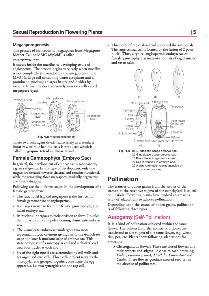 ISC All in One Biology Class 12 Exam 2027 | Complete Study Guide with Internal Assessment | Theory, Chapter Exercises, Sample Papers & Exam Questions - Image 10