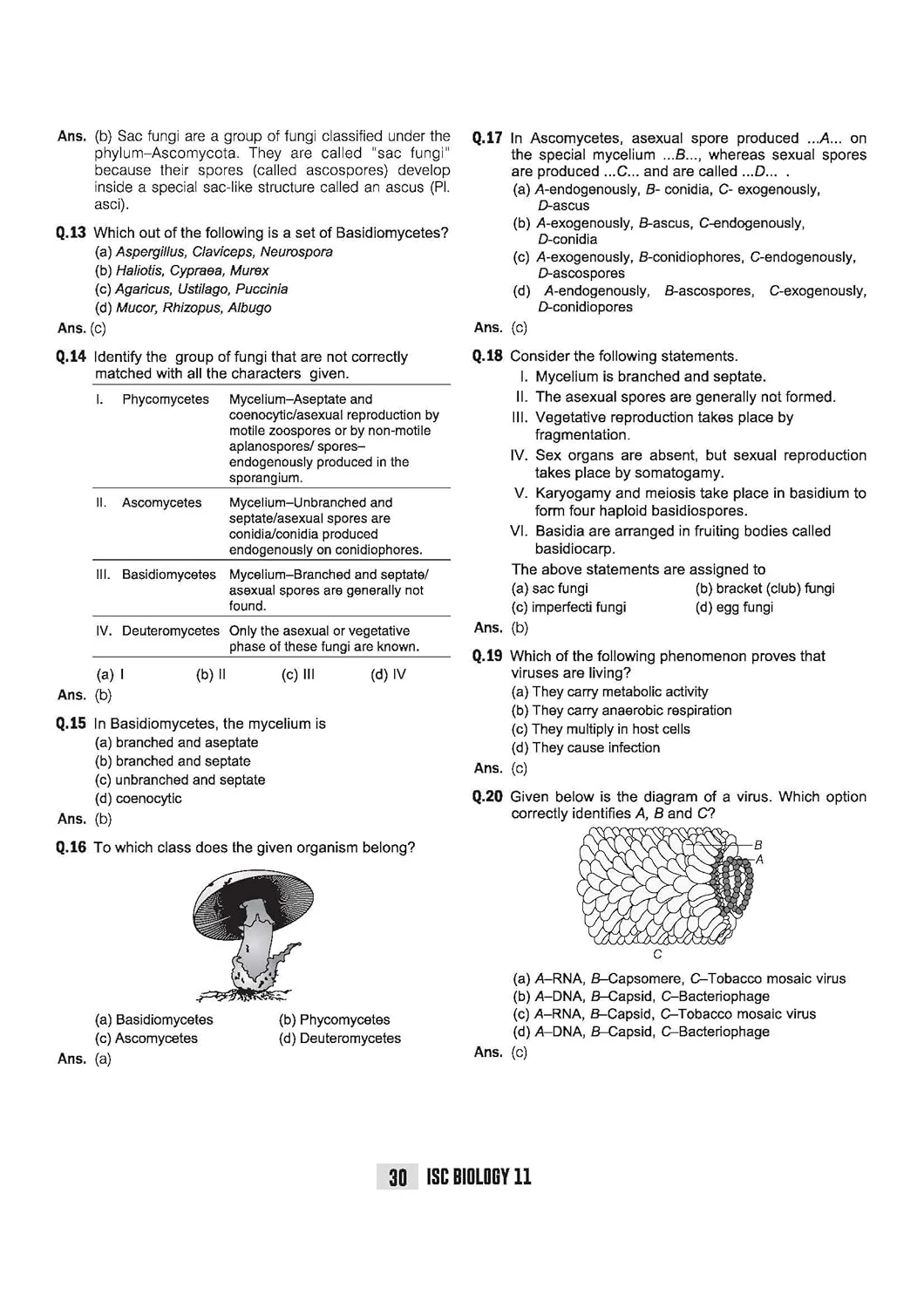 ISC Biology Class 11 Exam Book | Quick Theory, Exam Pattern Questions & Sample Papers | As per Latest ICSE Syllabus | Que Bee 2nd Edition - Image 9
