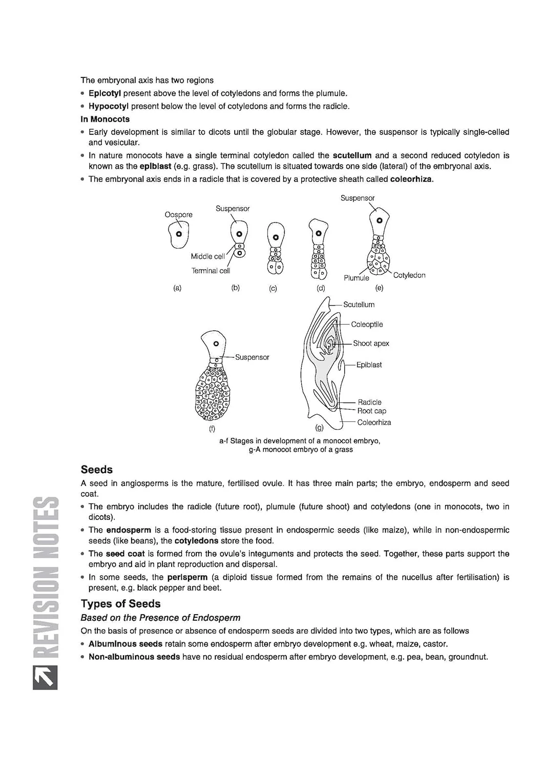 ISC Biology Class 12 Exam | Quick Theory, Exam Pattern Questions & Sample Papers | As per Latest ICSE Syllabus | Que Bee 2nd Edition - Image 10