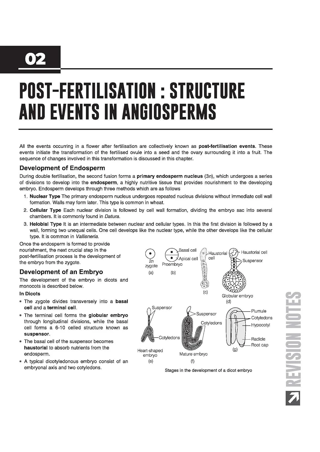 ISC Biology Class 12 Exam | Quick Theory, Exam Pattern Questions & Sample Papers | As per Latest ICSE Syllabus | Que Bee 2nd Edition - Image 9