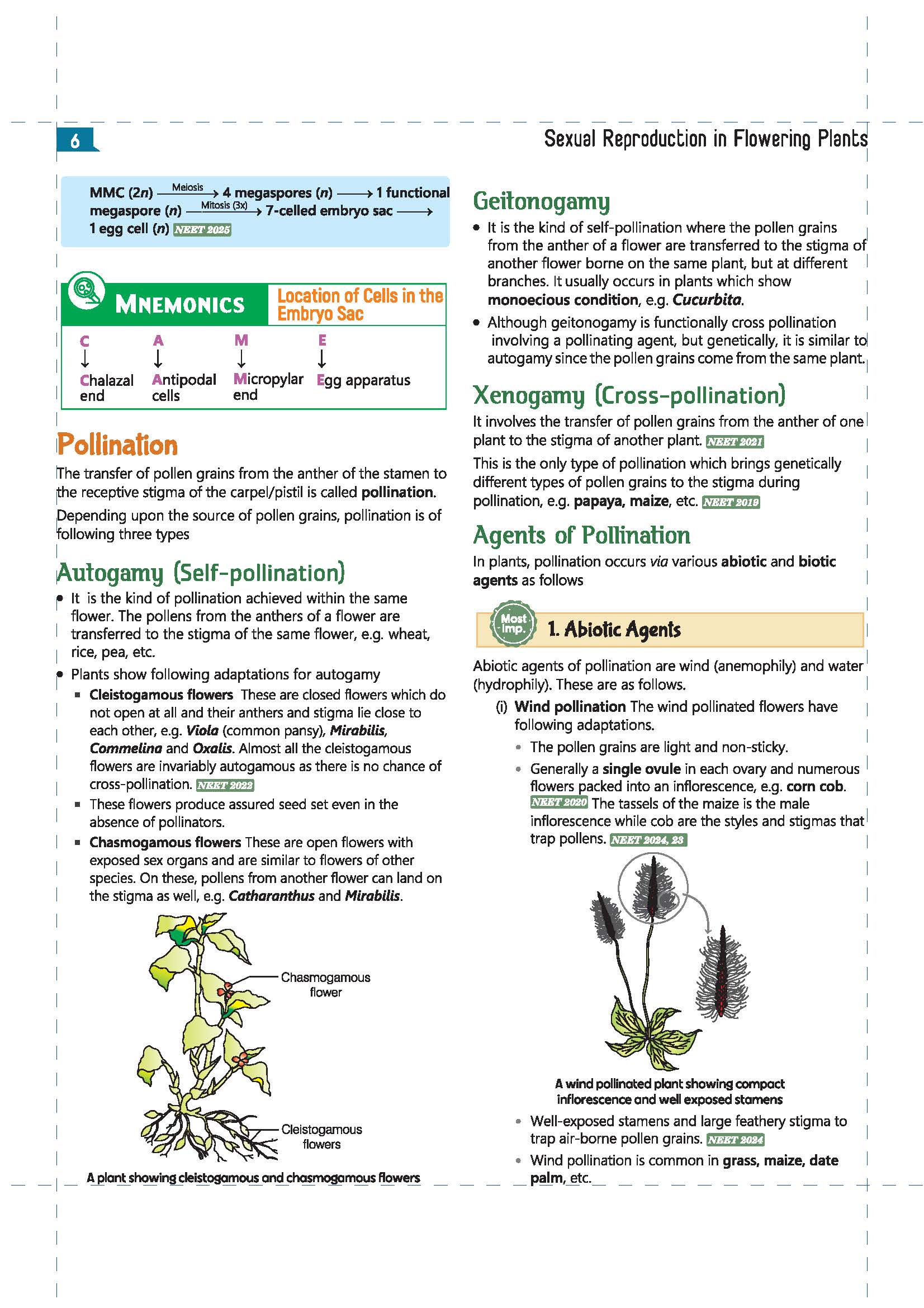Master the NCERT Biology Class 12 | For NEET (UG) & CUET 2026-27 | Line by Line MCQs from Latest NCERT Book | NCERT-Based 2K+ MCQs, AI-Based Misconception Zone | FREE Online Support | Revised Edition 2027 - Image 8