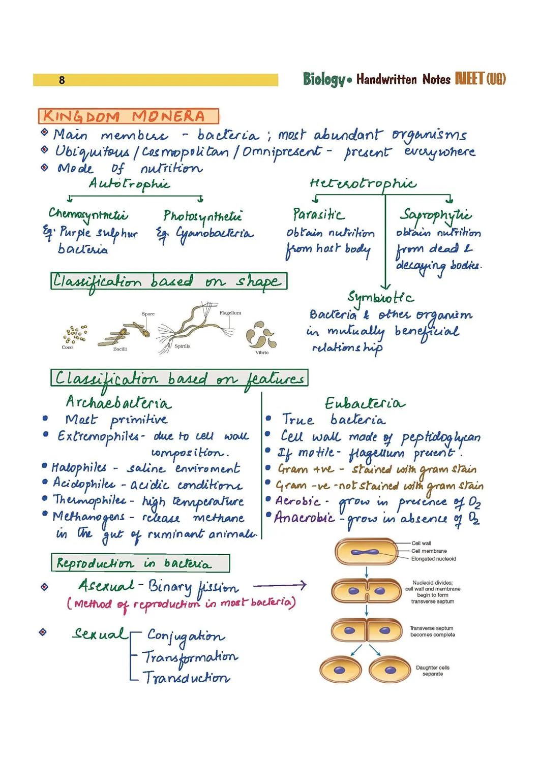 NEET (UG) Biology Handwritten Notes  2027 | Med Essence Personalised Study Guide | PYQ Punch, Exam-Oriented Concepts, Quick Revision & NEET Accelerate | Free Online Support - Image 10