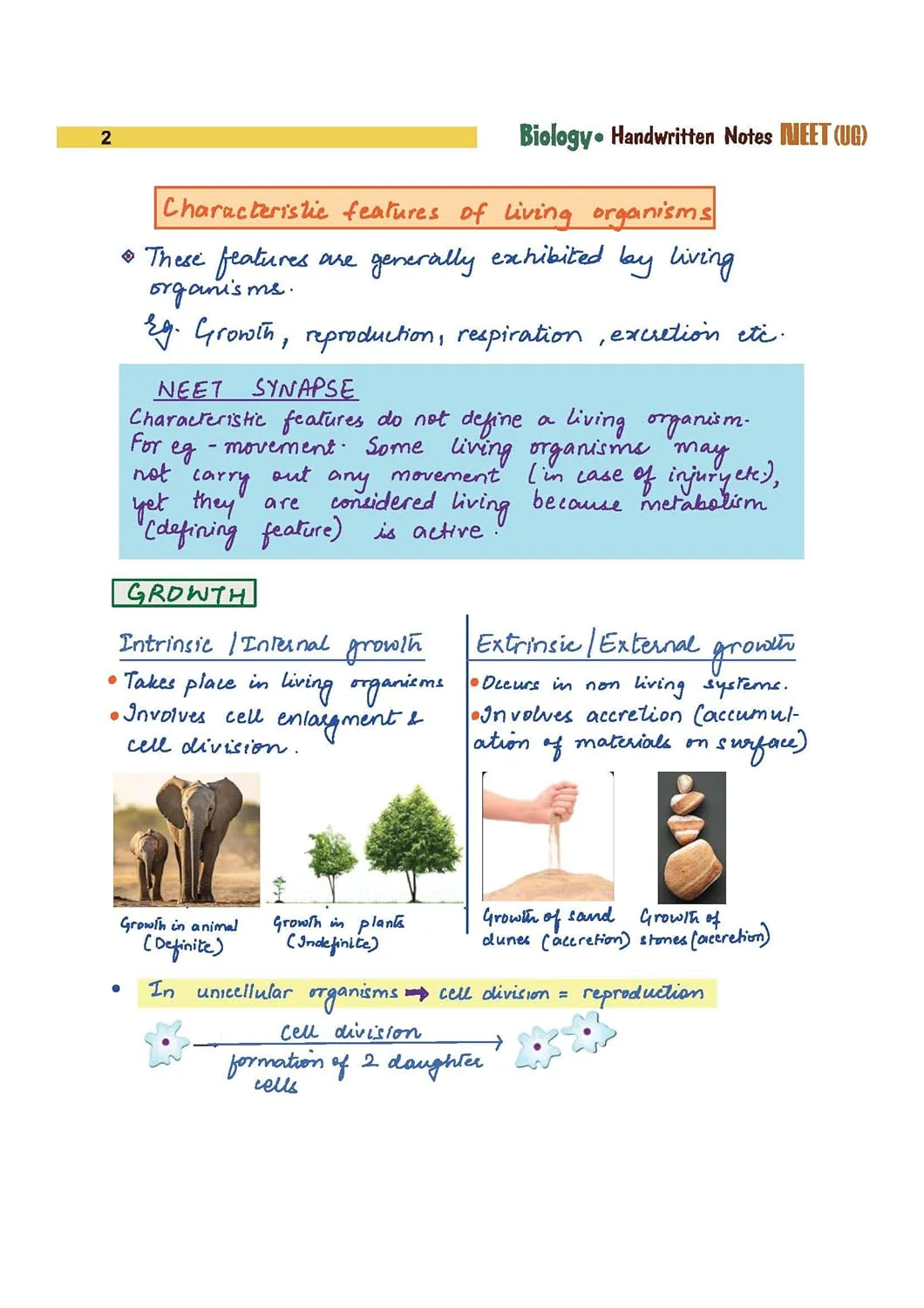 NEET (UG) Biology Handwritten Notes  2027 | Med Essence Personalised Study Guide | PYQ Punch, Exam-Oriented Concepts, Quick Revision & NEET Accelerate | Free Online Support - Image 8