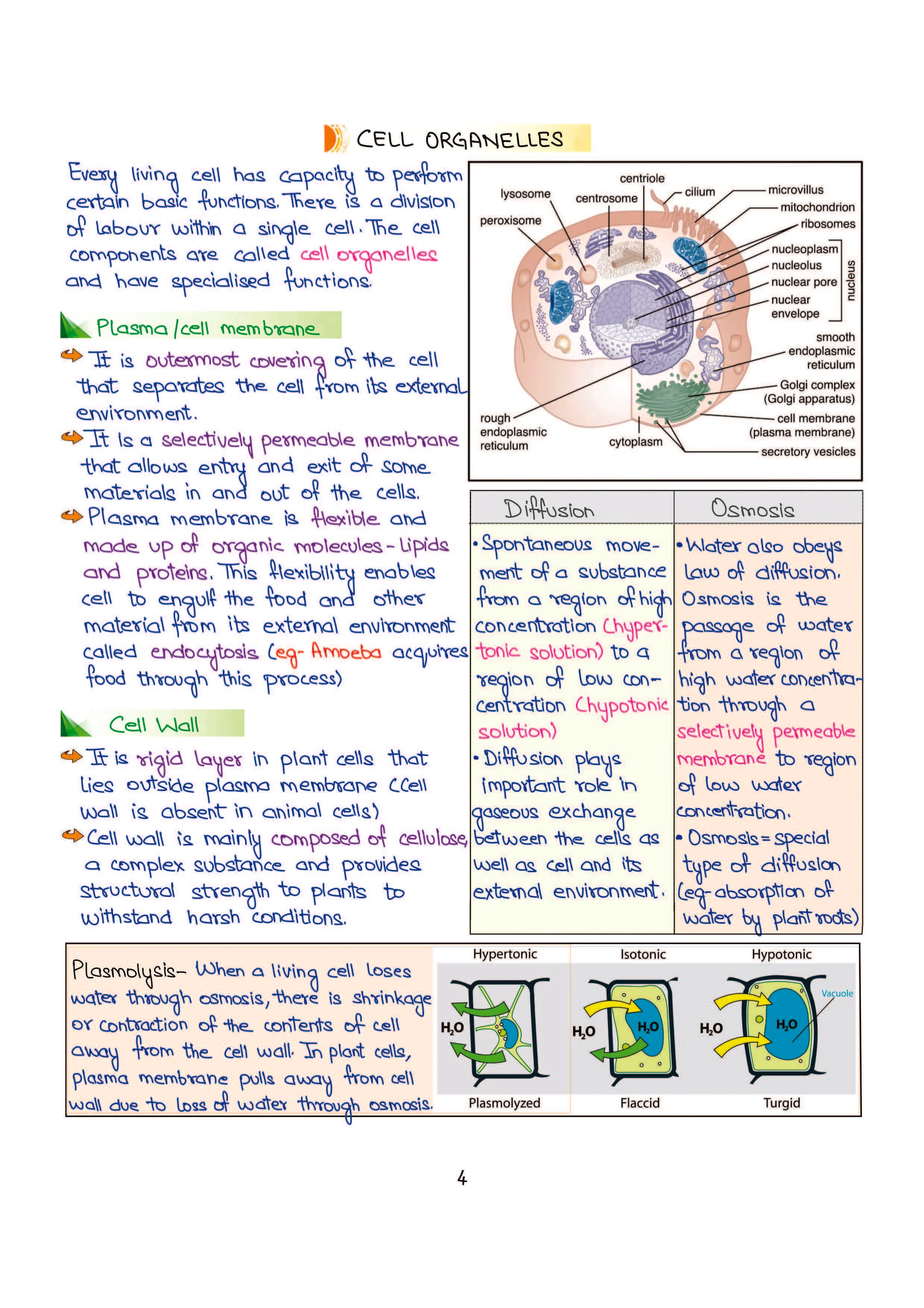 PULSE 3.0 Handwritten Notes: Science and Technology | Fully Revised Edition with SMART Framework | for UPSC Prelims, State PCS and Other Competitive Exam - Image 9
