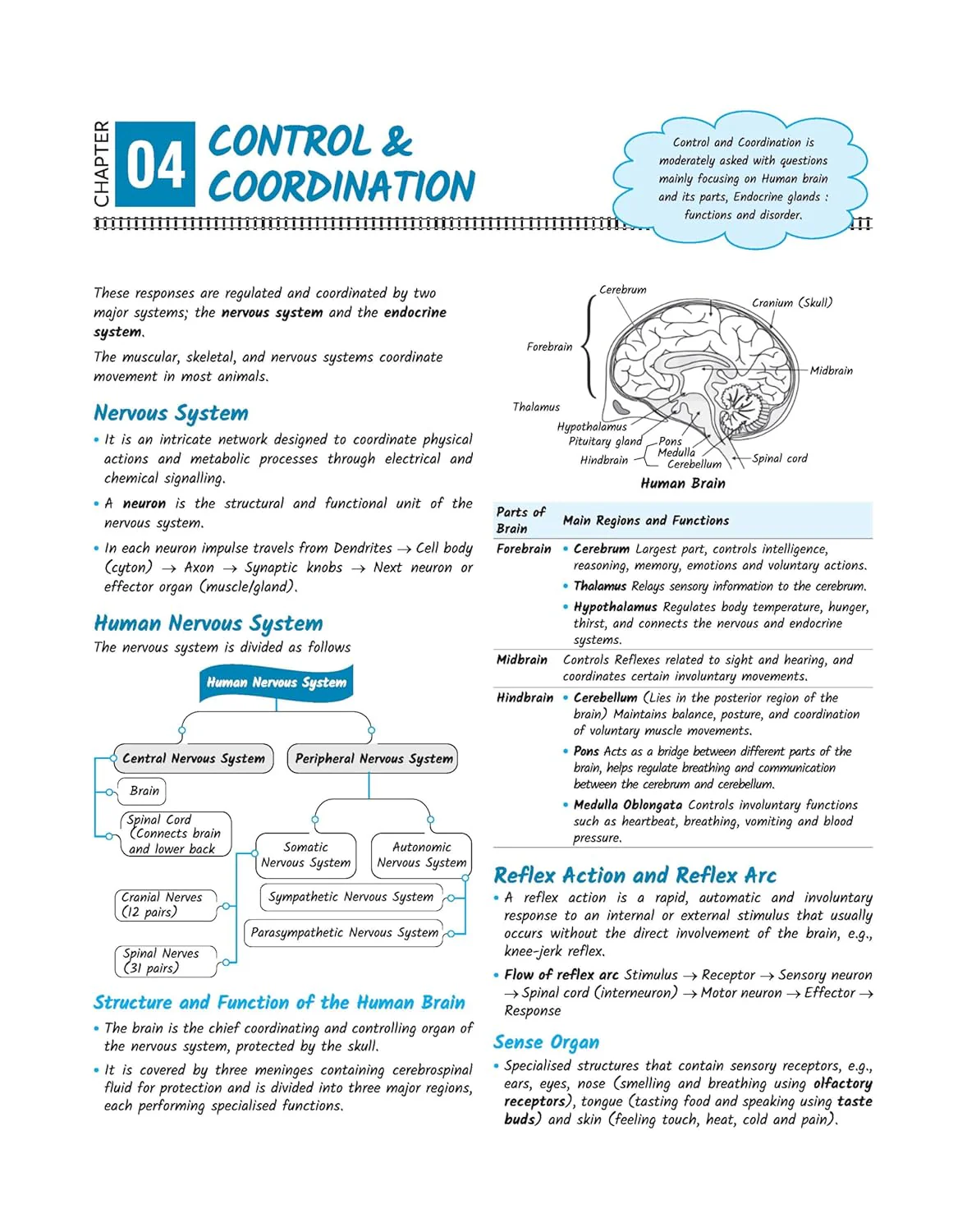 RRB Group-D (Level 1) Computer Based Test 2026 | Complete Study Package | Based on Latest Exam Pattern | English Medium - Image 6